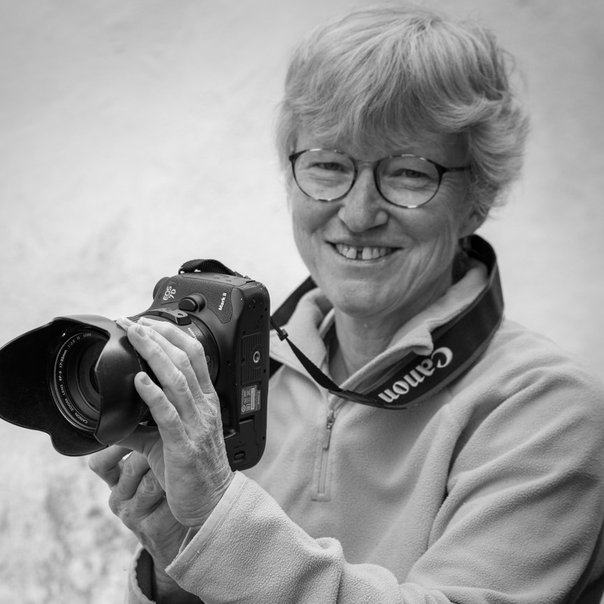 Anne Sargeant